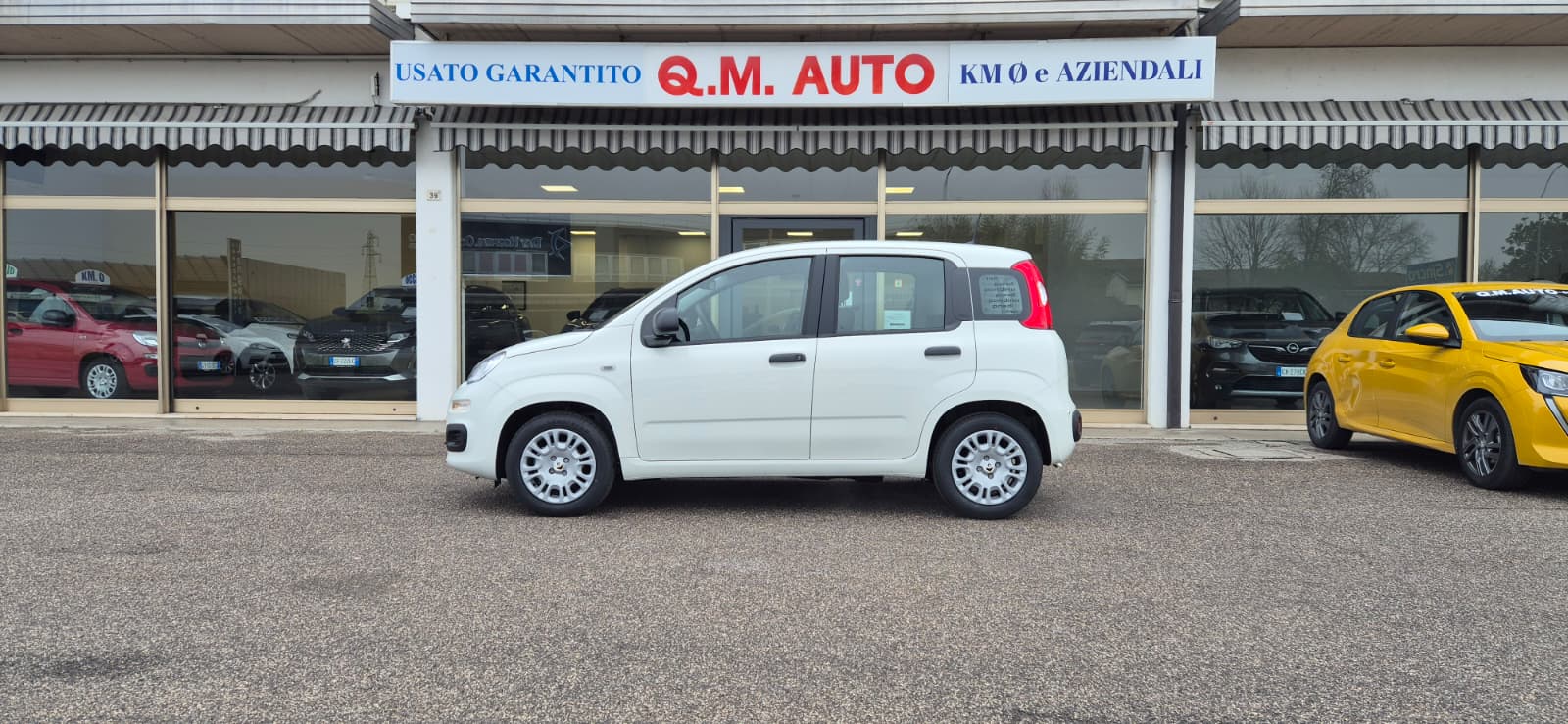 FIAT Panda 1.0 Hybrid Icon