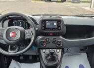 FIAT Panda 1.0 Hybrid Icon