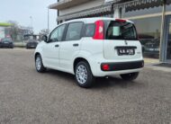 FIAT Panda 1.0 Hybrid Icon