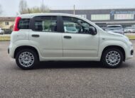 FIAT Panda 1.0 Hybrid Icon