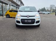 FIAT Panda 1.0 Hybrid Icon