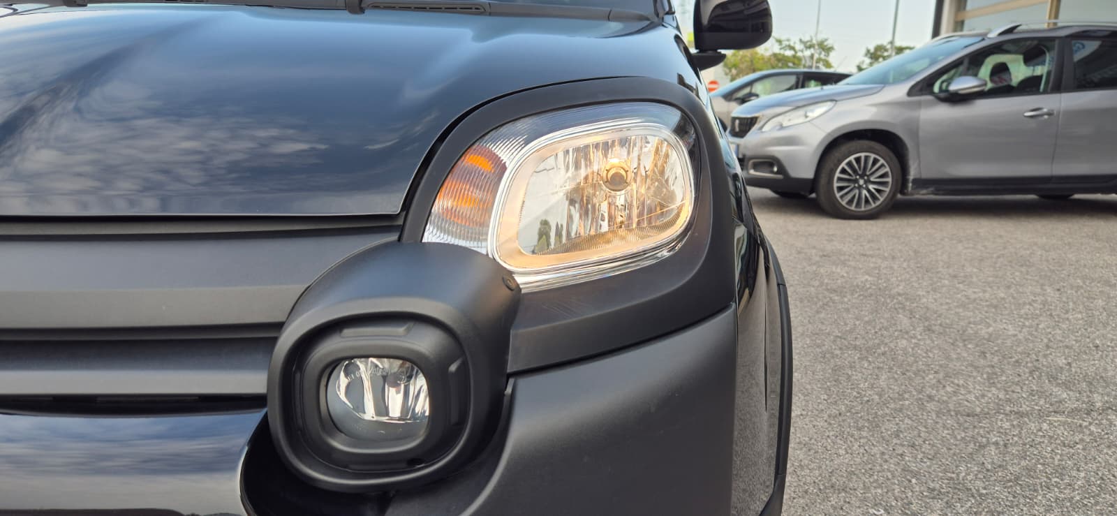 FIAT Panda 1.0 FireFly S&S Hybrid Pandina