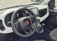 FIAT Panda 1.0 FireFly S&S Hybrid Pandina